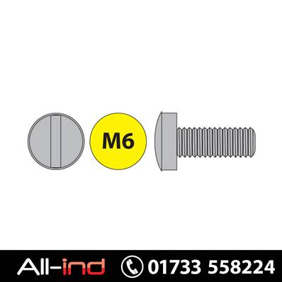 [100] M6X30MM MACHINE SCREW PAN HEAD SLOTTED