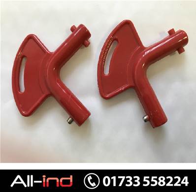 [PAIR] TAIL LIFT BATTERY SWITCH KEYS TO SUIT DHOLLANDIA