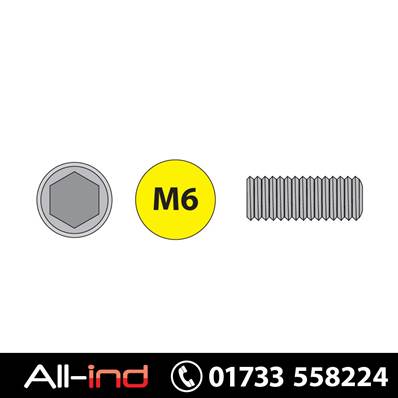 [50] M6X20MM PLAIN CUP POINT SKT SCREW HT