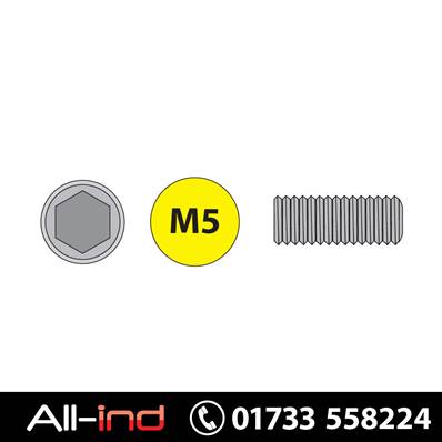 [50] M5X12MM PLAIN CUP POINT SKT SCREW HT