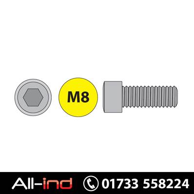 [100] M8X20MM CAP SCREW SKT HEAD HT12.9 DIN912