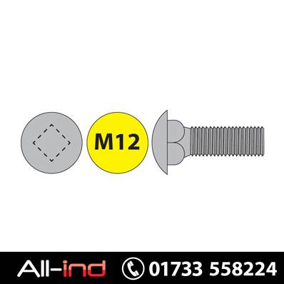 [100] M12X25MM COACH BOLT DIN603 BZP